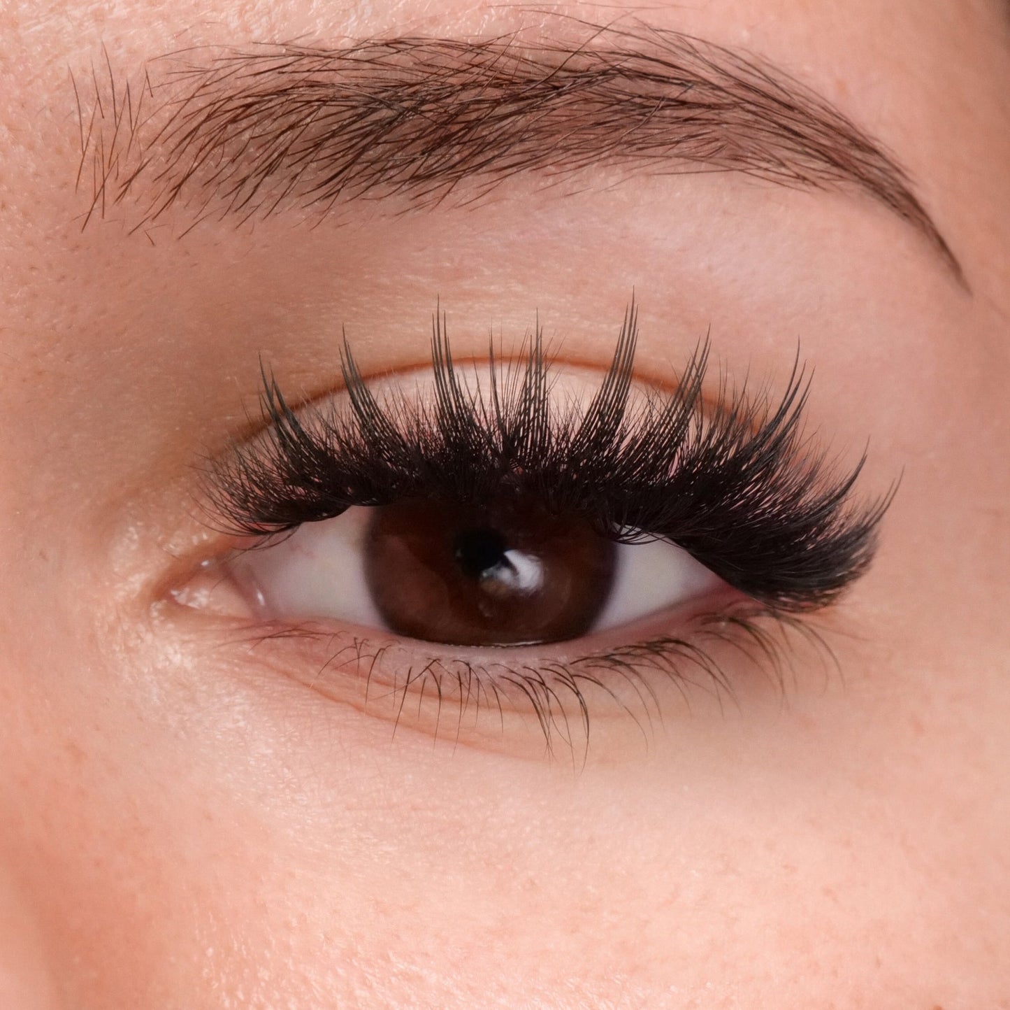 **NEW** Anime Tower Spike - .05 Contour Laser Print Lash